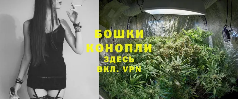 Конопля Ganja  Адыгейск 